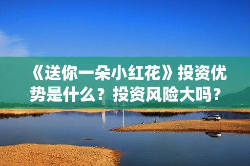 《送你一朵小红花》投资优势是什么？投资风险大吗？(送你一朵小红花)
