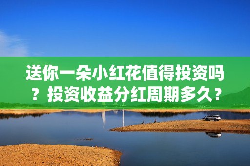 送你一朵小红花值得投资吗？投资收益分红周期多久？(送你一朵小红花原唱)