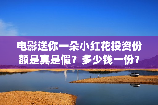 电影送你一朵小红花投资份额是真是假？多少钱一份？(电影送你一朵小红花讲述的主题是抗癌吗)