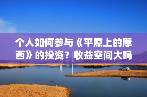 个人如何参与《平原上的摩西》的投资？收益空间大吗？(我们应该如何参与)