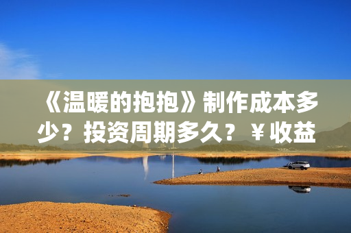 《温暖的抱抱》制作成本多少？投资周期多久？￥收益空间大吗？(温暖的抱抱在线观看完整版高清免费)