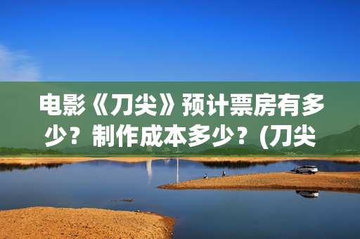 电影《刀尖》预计票房有多少？制作成本多少？(刀尖这部电影哪年拍的)