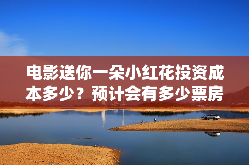 电影送你一朵小红花投资成本多少？预计会有多少票房？(电影送你一朵小红花主题曲)