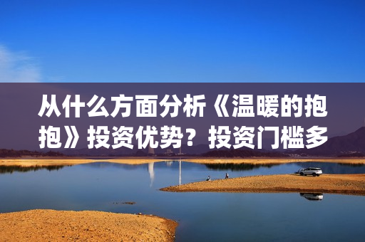 从什么方面分析《温暖的抱抱》投资优势？投资门槛多少?(从什么角度分析)