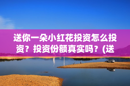 送你一朵小红花投资怎么投资？投资份额真实吗？(送你一朵小红花简谱)