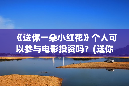 《送你一朵小红花》个人可以参与电影投资吗？(送你一朵小红花演员表)