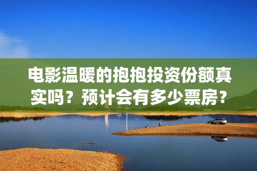 电影温暖的抱抱投资份额真实吗？预计会有多少票房？(电影温暖的抱抱剧情介绍)