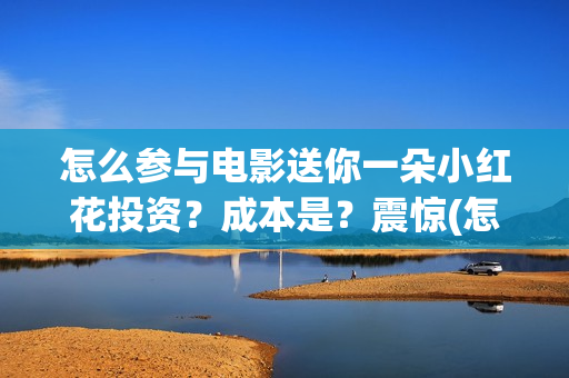 怎么参与电影送你一朵小红花投资？成本是？震惊(怎么赠送电影)