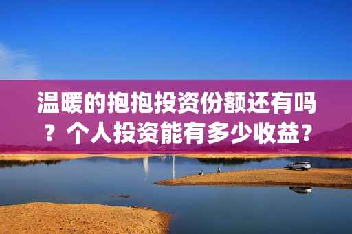 温暖的抱抱投资份额还有吗？个人投资能有多少收益？(温暖的抱抱投资方式)