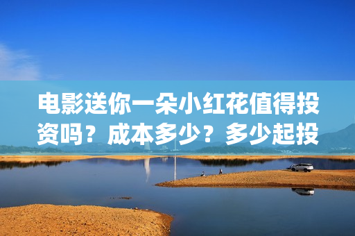电影送你一朵小红花值得投资吗？成本多少？多少起投？(电影送你一朵小红花简介)
