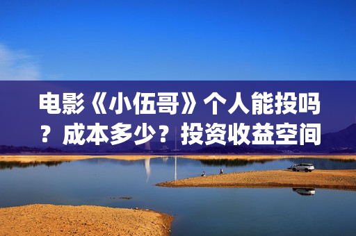 电影《小伍哥》个人能投吗？成本多少？投资收益空间大吗？(小伍哥在线观看)