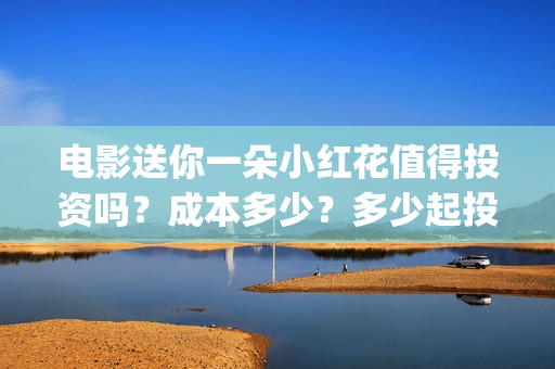 电影送你一朵小红花值得投资吗？成本多少？多少起投？(电影送你一朵小红花的英文)