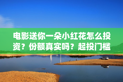 电影送你一朵小红花怎么投资？份额真实吗？起投门槛多少？(电影送你一朵小红花演员表)