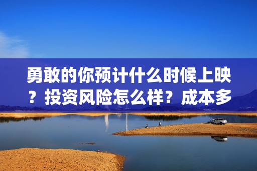 勇敢的你预计什么时候上映？投资风险怎么样？成本多少(勇敢的你何时上映)