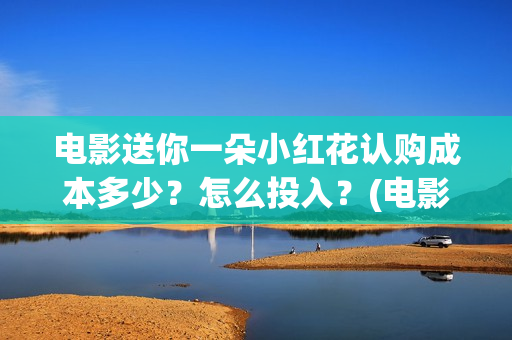 电影送你一朵小红花认购成本多少？怎么投入？(电影送你一朵小红花的英文)