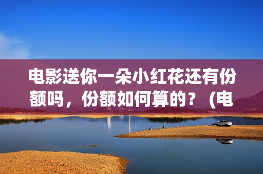 电影送你一朵小红花还有份额吗，份额如何算的？ (电影送你一朵小红花简介)