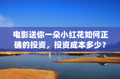 电影送你一朵小红花如何正确的投资，投资成本多少？ (电影送你一朵小红花主题曲)