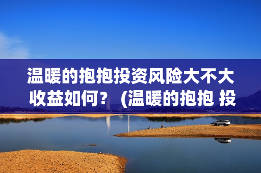 温暖的抱抱投资风险大不大 收益如何？ (温暖的抱抱 投资成本)