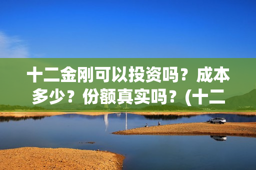 十二金刚可以投资吗？成本多少？份额真实吗？(十二金刚1967)