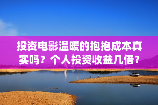 投资电影温暖的抱抱成本真实吗？个人投资收益几倍？(温暖的电影海报)