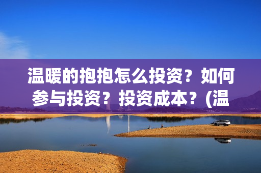温暖的抱抱怎么投资？如何参与投资？投资成本？(温暖的抱抱怎么看不了)