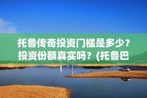 托鲁传奇投资门槛是多少？投资份额真实吗？(托鲁巴姆图片)
