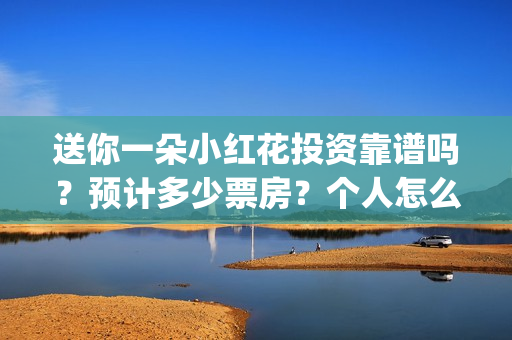 送你一朵小红花投资靠谱吗？预计多少票房？个人怎么参与？(送你一朵小红花简谱)