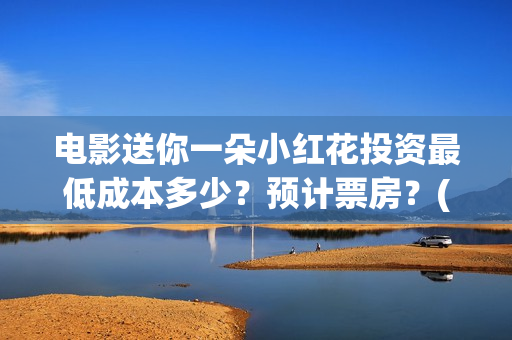 电影送你一朵小红花投资最低成本多少？预计票房？(电影送你一朵小红花主题曲)