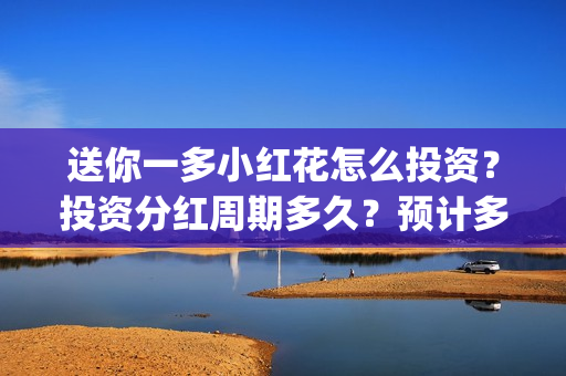 送你一多小红花怎么投资？投资分红周期多久？预计多少票房？(送你一多小红花照片)