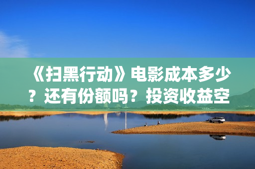 《扫黑行动》电影成本多少？还有份额吗？投资收益空间大吗？(《扫黑行动》电视剧)
