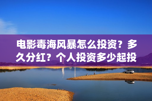 电影毒海风暴怎么投资？多久分红？个人投资多少起投？(毒海风暴有哪几家拍摄)