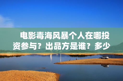    电影毒海风暴个人在哪投资参与？出品方是谁？多少起投？(电影毒海风暴 免费观看)