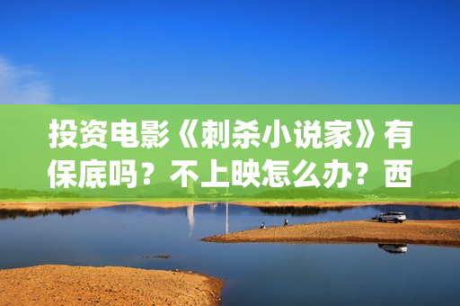 投资电影《刺杀小说家》有保底吗？不上映怎么办？西坝河(刺杀 电影)
