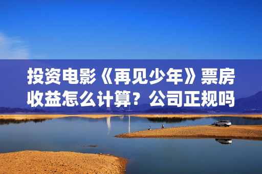 投资电影《再见少年》票房收益怎么计算？公司正规吗？-长征镇(再见什么电影)