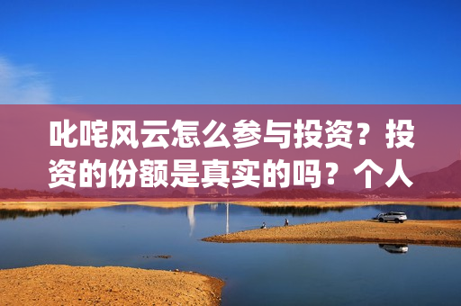叱咤风云怎么参与投资？投资的份额是真实的吗？个人怎么参与？(叱咤风云解说)