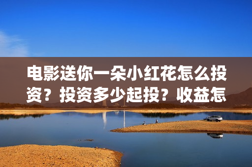 电影送你一朵小红花怎么投资？投资多少起投？收益怎么样？(电影送你一朵小红花讲述的主题是抗癌吗)