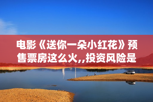 电影《送你一朵小红花》预售票房这么火,,投资风险是不是很低？投资门槛多少？(电影《送你一朵小红花》易烊千玺在)