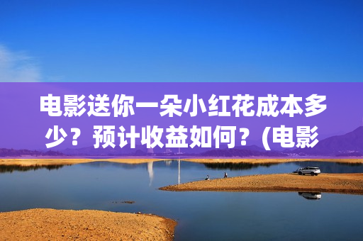 电影送你一朵小红花成本多少？预计收益如何？(电影送你一朵小红花的英文)