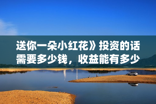 送你一朵小红花》投资的话需要多少钱，收益能有多少(送你一朵小红花结局)