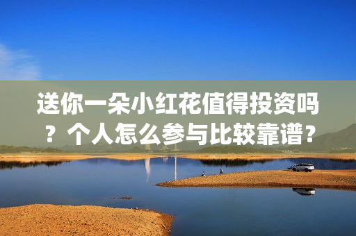 送你一朵小红花值得投资吗？个人怎么参与比较靠谱？(送你一朵小红花演员表)