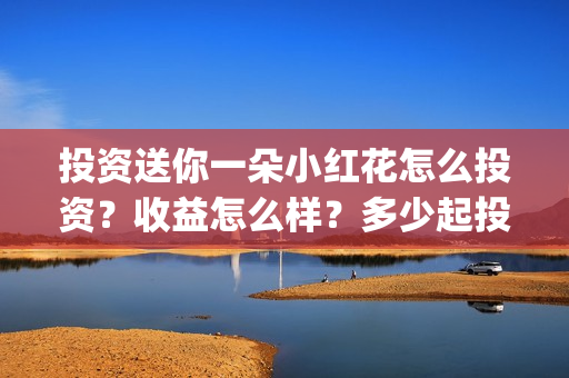 投资送你一朵小红花怎么投资？收益怎么样？多少起投？(投资送你一朵小红花)