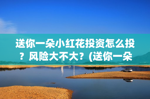 送你一朵小红花投资怎么投？风险大不大？(送你一朵小红花简谱)