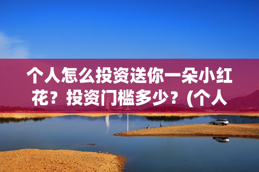 个人怎么投资送你一朵小红花？投资门槛多少？(个人怎么投资pe)