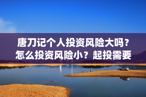 唐刀记个人投资风险大吗？怎么投资风险小？起投需要门槛吗？(唐刀纪录片视频)