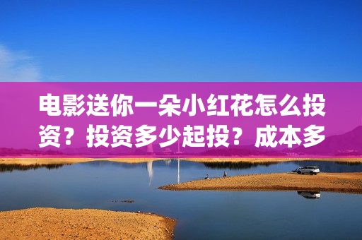 电影送你一朵小红花怎么投资？投资多少起投？成本多少？(电影送你一朵小红花主题曲)