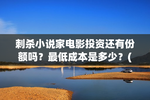 刺杀小说家电影投资还有份额吗？最低成本是多少？(刺杀小说家2电影)