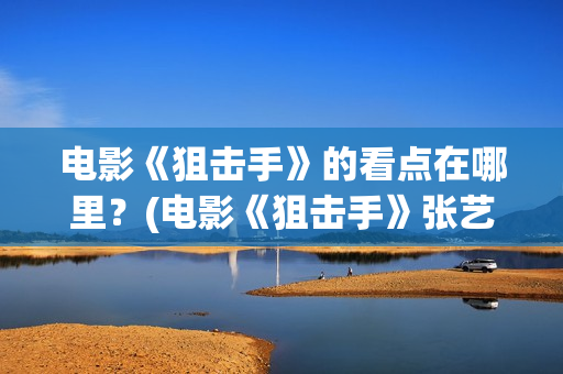 电影《狙击手》的看点在哪里？(电影《狙击手》张艺谋)