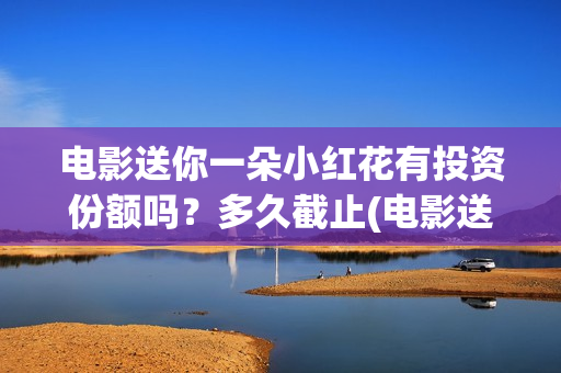电影送你一朵小红花有投资份额吗？多久截止(电影送你一朵小红花简介)