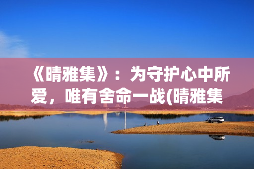 《晴雅集》：为守护心中所爱，唯有舍命一战(晴雅集说的是什么?)