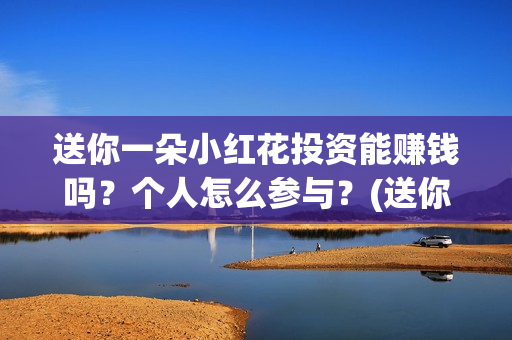 送你一朵小红花投资能赚钱吗？个人怎么参与？(送你一朵小红花简谱)